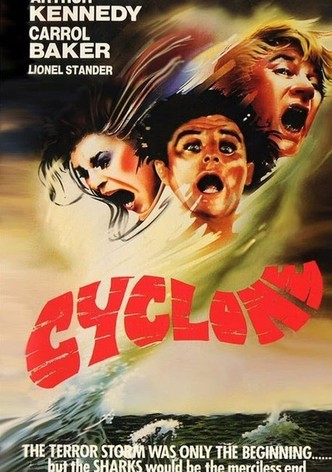 Cyclone