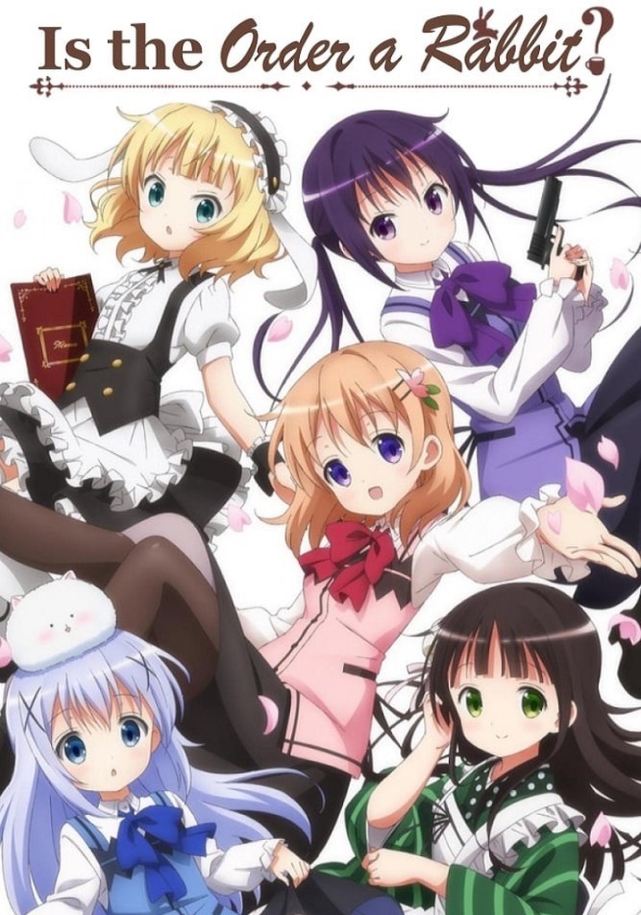 Is The Order A Rabbit