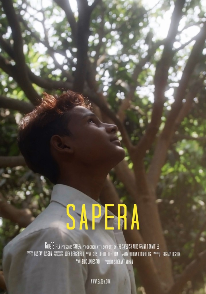 Sapera