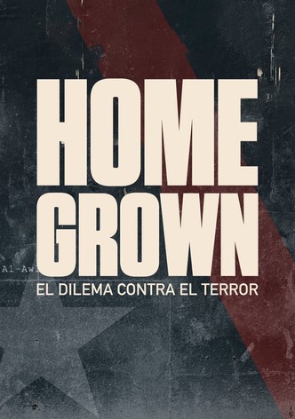 Terroristas dentro de nuestras fronteras