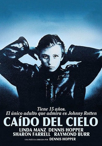 Caído del cielo