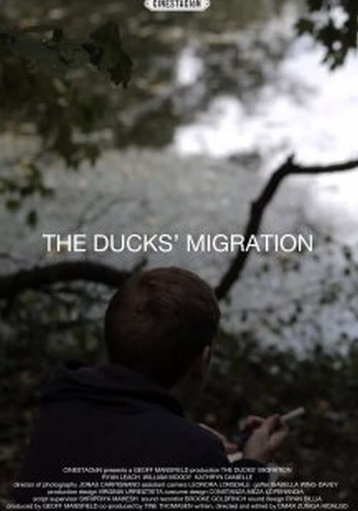The Ducks' Migration