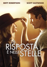 La risposta è nelle stelle