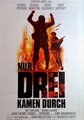 Nur drei kamen durch