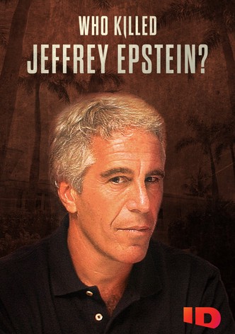 Der Fall Jeffrey Epstein