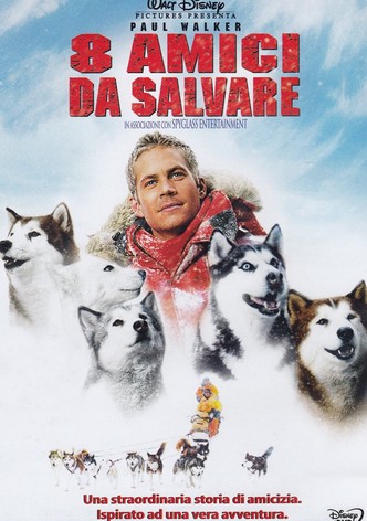8 amici da salvare