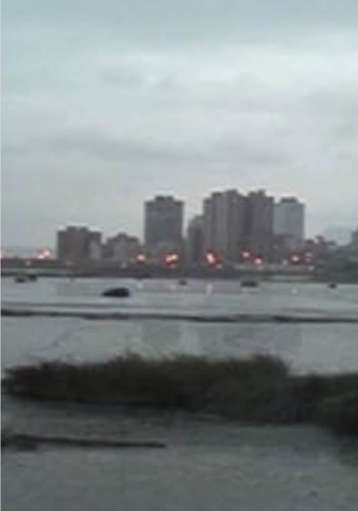 Moonlight in the River