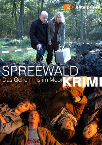 Das Geheimnis im Moor