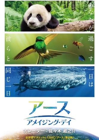 アース：アメイジング・デイ