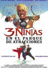 3 ninjas en el parque de atracciones