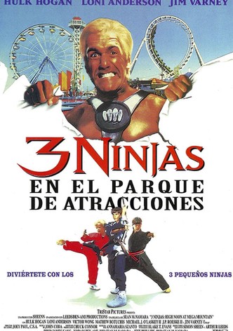 3 ninjas en el parque de atracciones