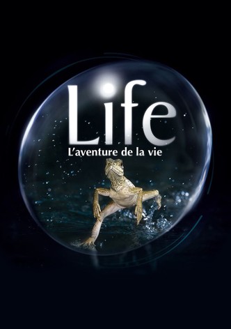 Life, l'aventure de la vie