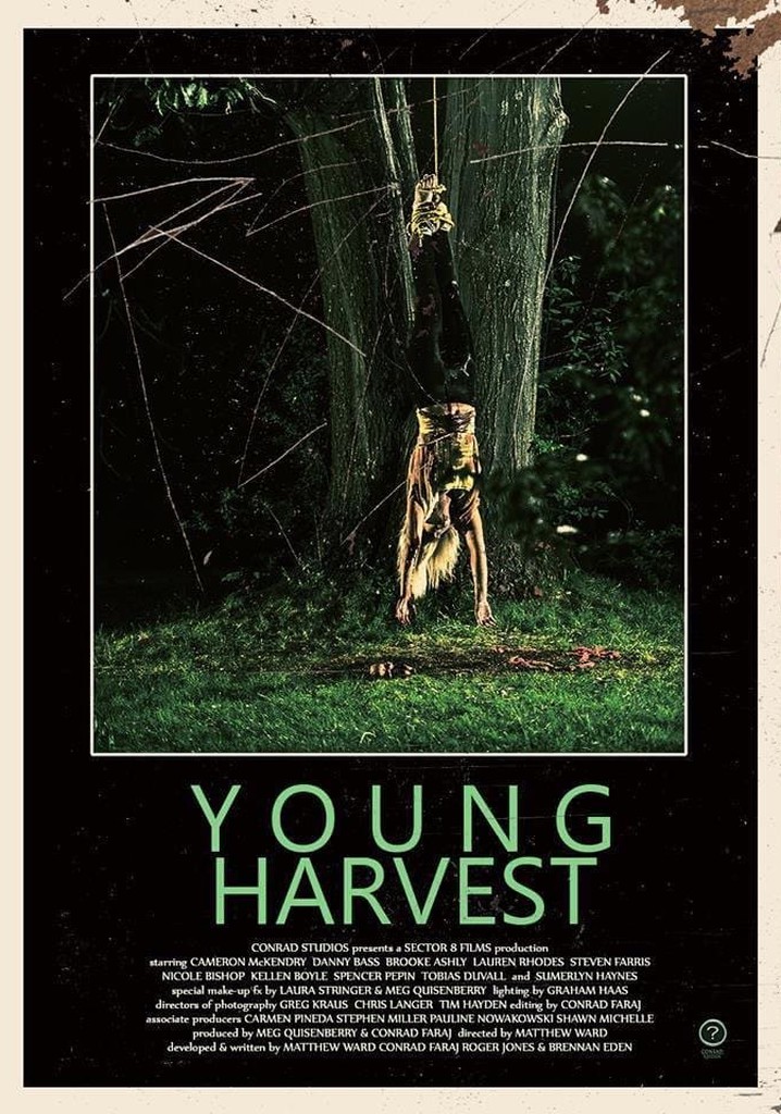 Young Harvest
