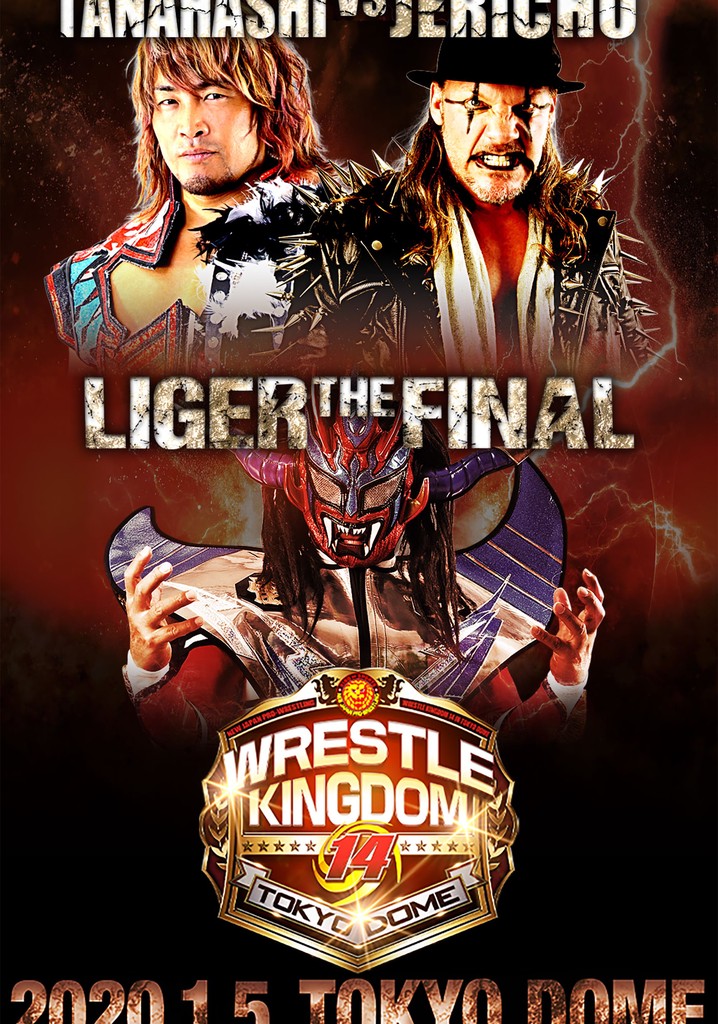 NJPW Wrestle Kingdom 14: Night 2