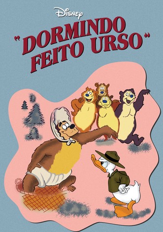 Dormindo Feito Urso