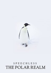 Speechless: the Polar Realm [OV]