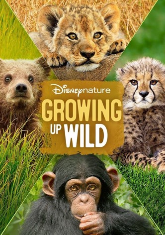 Growing Up Wild