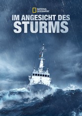 Im Angesicht des Sturms - Im Angesicht des Sturms