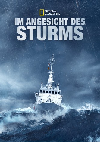 Im Angesicht des Sturms