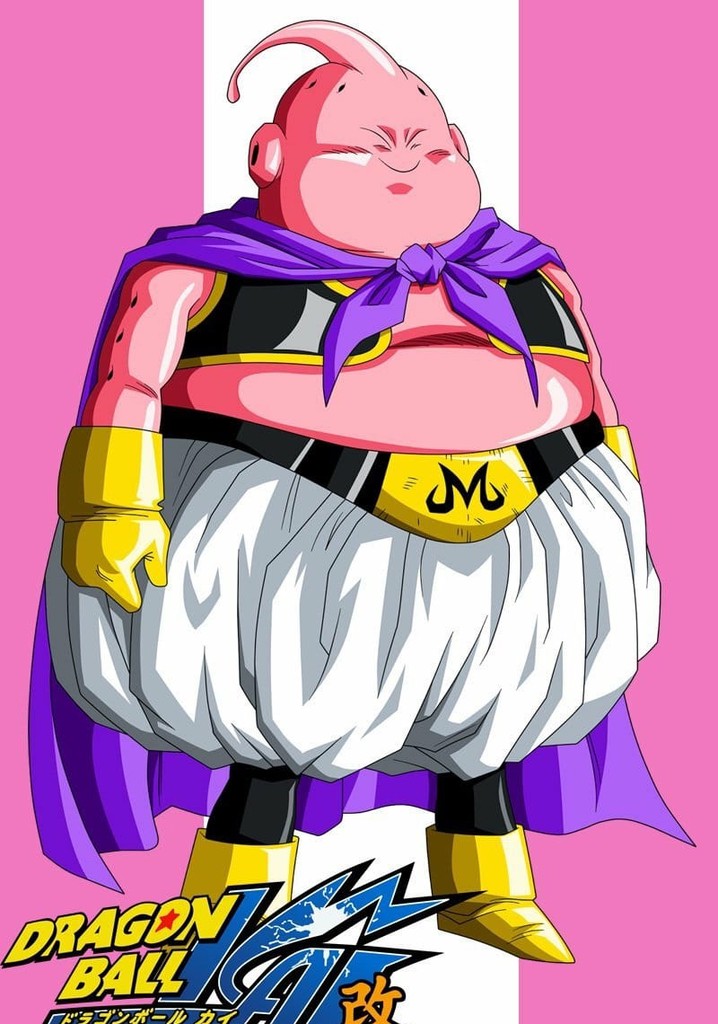 Saison 6 Dragon Ball Z Kai streaming où regarder les épisodes?
