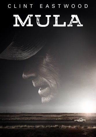 Mula