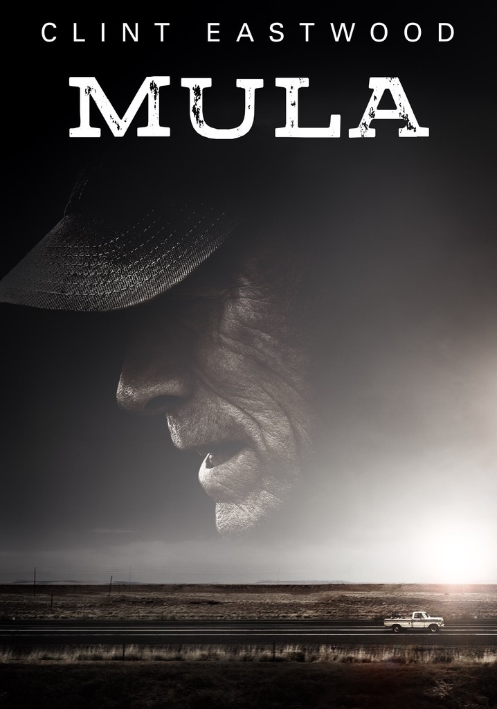 Puro Mula Pelicula Completa En Español Latino Mula - película: Ver online completa en español