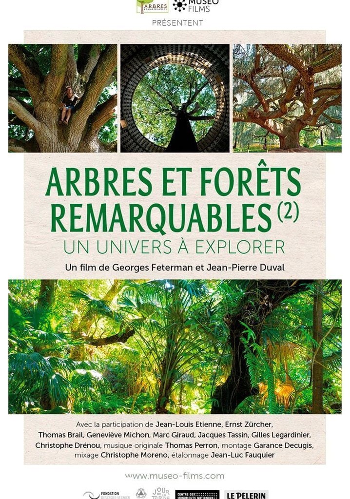 Arbres et forêts remarquables, un univers à explorer
