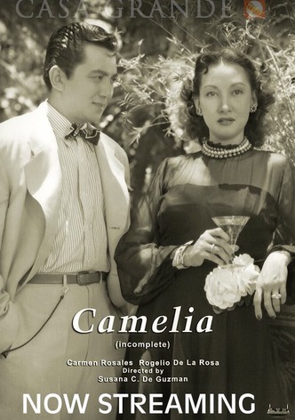 Camelia