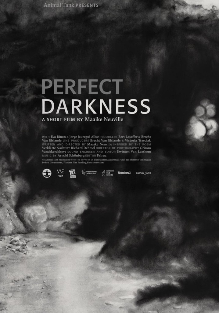 Perfect Darkness