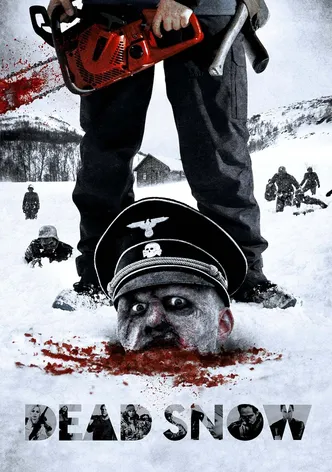 Dead Snow poster
