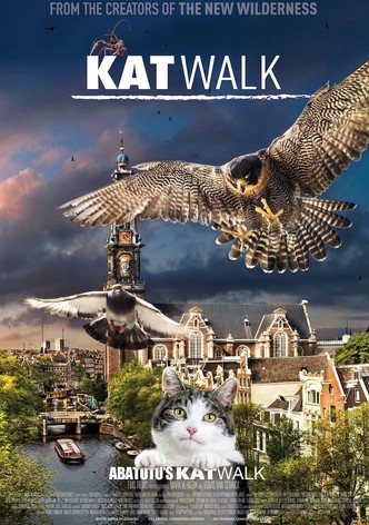 Amsterdam sauvage : Suivez le chat.