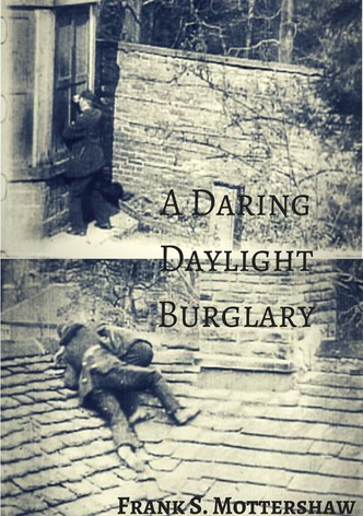 A Daring Daylight Burglary