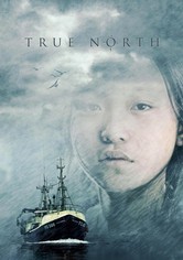 True North