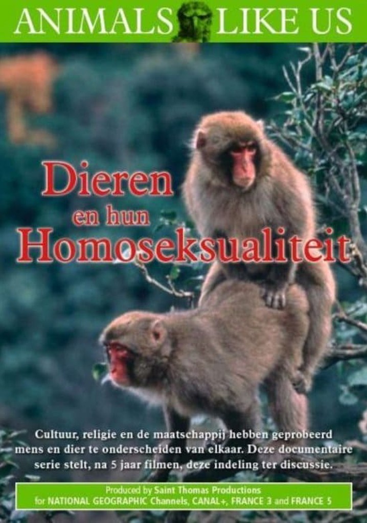 Animals Like Us: Animal Homosexuality
