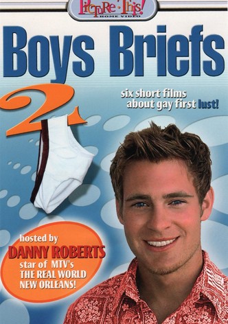 Boys Briefs 2