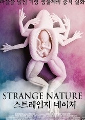 스트레인지 네이처