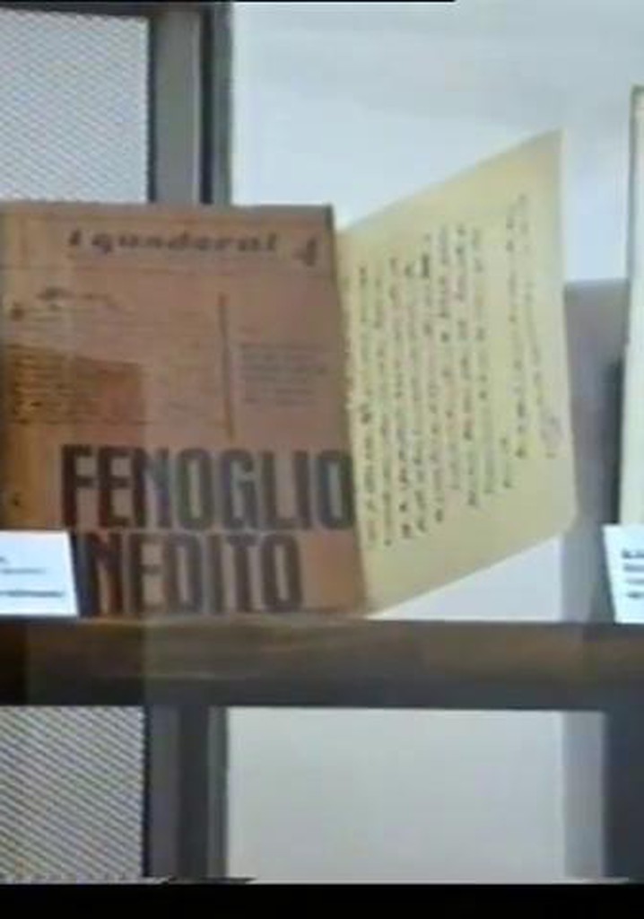 Una questione privata. Vita di Beppe Fenoglio