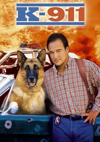 K-911 poster