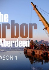 The Harbor