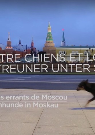 L'évolution en marche