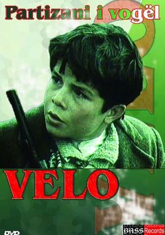 The Little Partisan Velo
