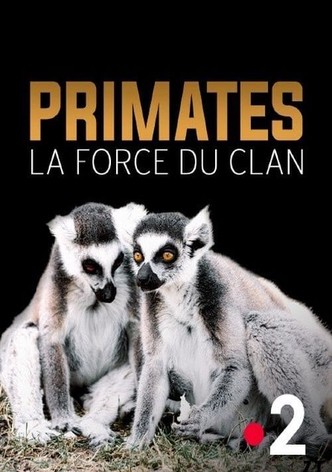 Primates: The Strength of the Clan
