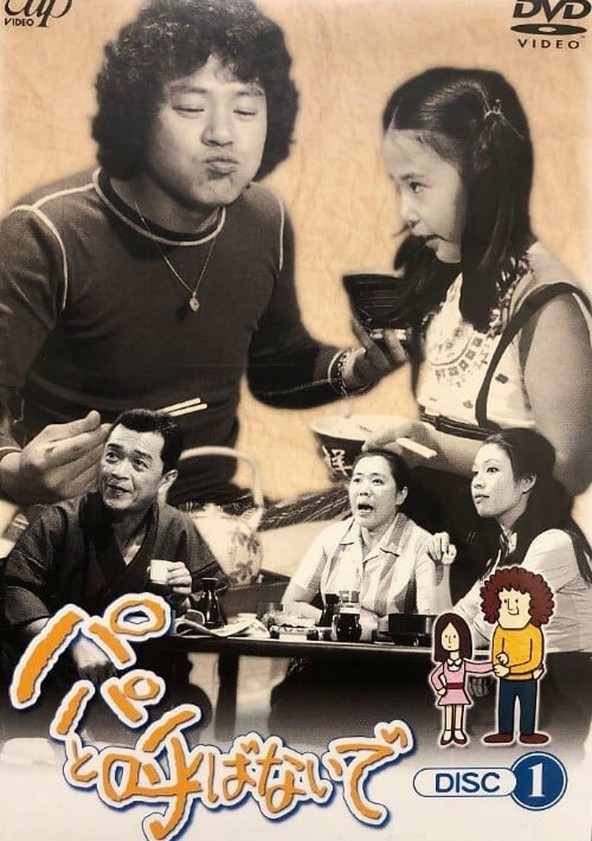 パパと呼ばないで DVD-BOX I&II 全40話(美品)