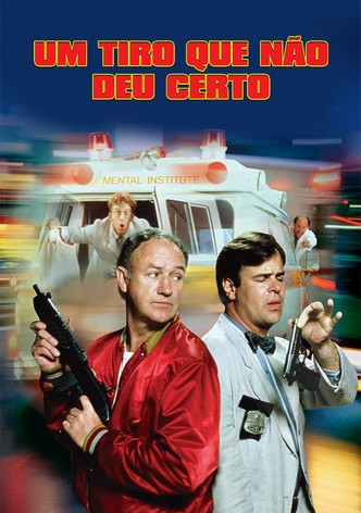 Um Tiro que Não deu Certo