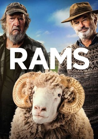 Rams