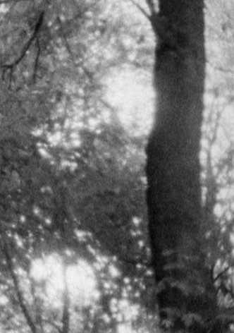 Untitled 1