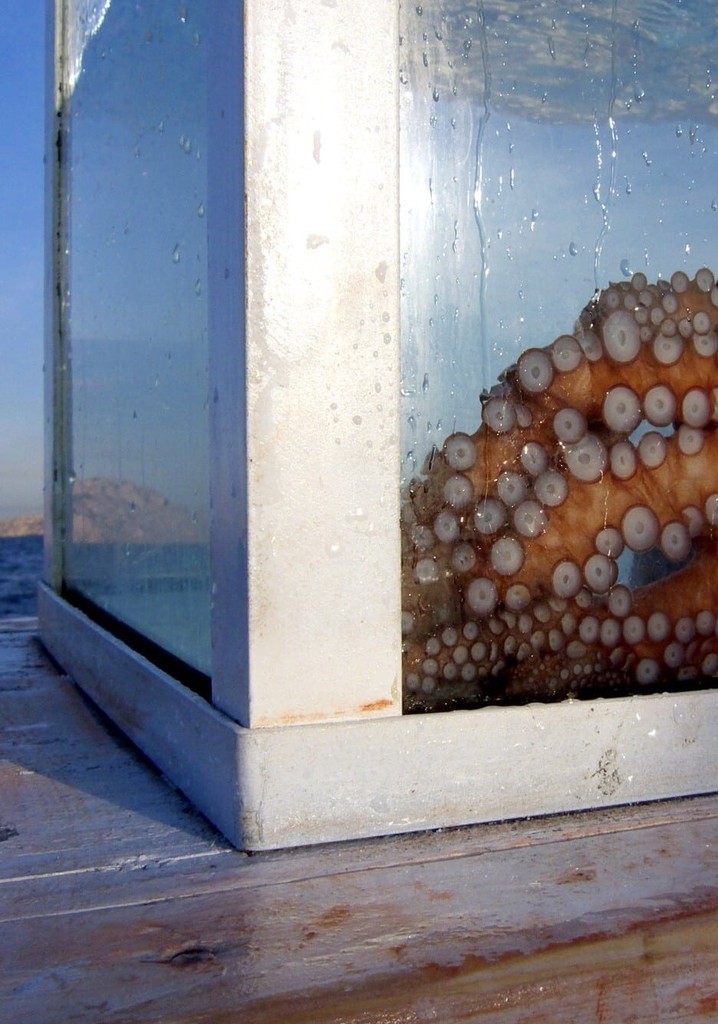 Outlandish: Strange Foreign Bodies