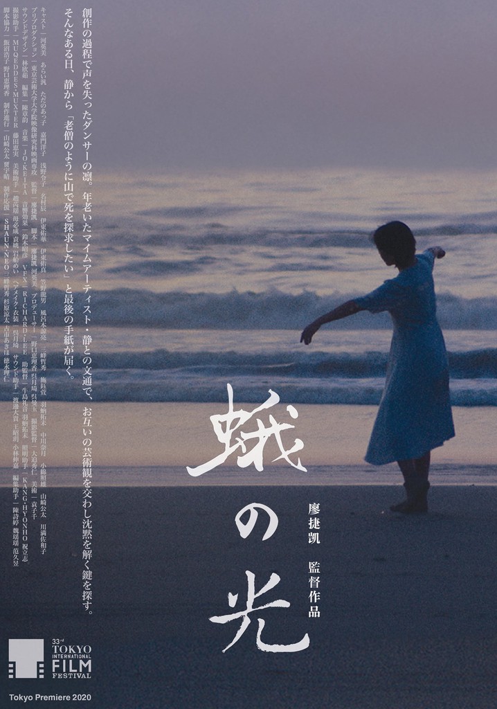 Light of a Burning Moth