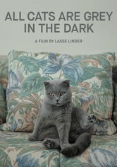 All Cats Are Grey in the Dark
