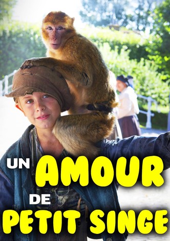 Un amour de petit singe
